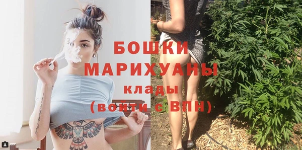 винт Богданович