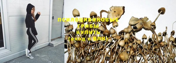 бошки Богородицк