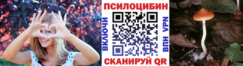 Псилоцибиновые грибы прущие грибы  Пойковский 